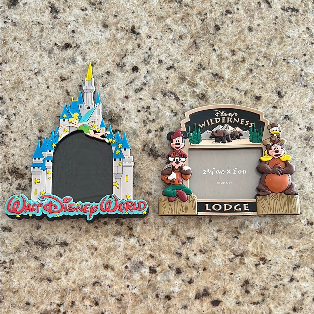 Disney World photo magnets